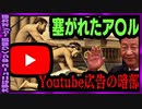 【ゆっくり解説】 YouTube広告にトライ 「習近平」の影