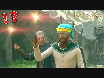 田辺に洗脳され、ルーモス厨と化したフィグ先生 #７【ホグワーツレガシー】