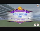 【ウマ娘プリティーダービー】とあるトレーナーのアクエリアス杯(グレードリーグAグループ決勝)
