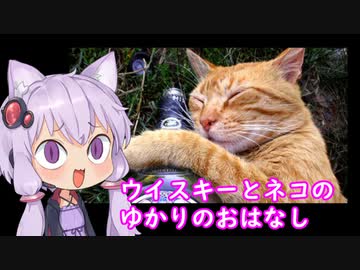 【３分ちょいでわかる】ウイスキーとネコのゆかりのおはなし