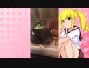 キッチュ・シノミーのハムスターの日常。3