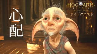 【ホグワーツレガシー】サイドクエスト！屋敷しもべ妖精の苦境【ネタバレ注意】