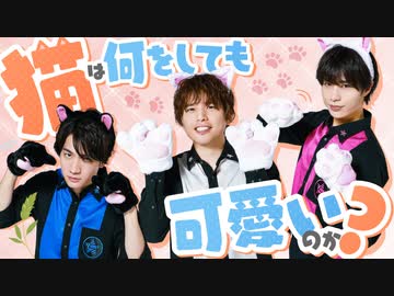 猫の日！猫は何をしても可愛いのか？検証リターンズ！