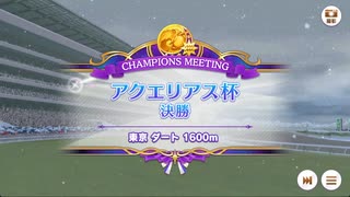 【ウマ娘】アクエリアス杯2023グレードリーグB決勝