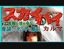 ｢スカイハイ・カルマ｣読む前に・読んだ後で【漫画マンガ語る[225]】