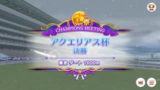 2023 アクエリアス杯 オープン A決勝 魔改造チャレンジ