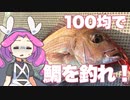 ダイソーだけで釣れ！「100円ショップフィッシング」｜タイラバ編