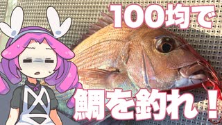 ダイソーだけで釣れ！「100円ショップフィッシング」｜タイラバ編