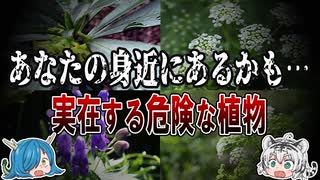 命に関わる！実在する危険な植物７選！【ゆっくり解説】