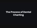 The Process of Dental Charting