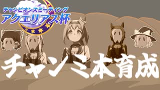 ゆっくりトレーナー奇譚　part14　～アクエリアス杯本育成!!～