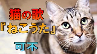 ねこうた / 可不