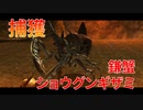 【実況】ぼっちハンターが行く！モンスターハンターXX第28回