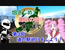 【ついなちゃん車載】抱きしめて！高志の国の果てまで！ 第3回・道の駅巡りをしよう！【CB250R】