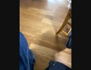 1日の動画アップ目標、14件？　それで年間5000件になる