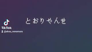 【見なくていいデス】とおりゃんせアレンジ【歌ってみた】