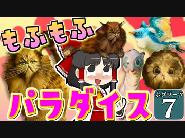 【ミリ知らホグワーツ#7】ハリー・ポッターを１ミリも知らない霊夢博士のホグワーツ レガシー【Hogwarts Legacy】【ゆっくり実況】