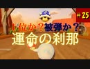 【マリオカート8DX】S2-25 勝負を決める運命の瞬間・・・！