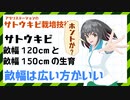 サトウキビの畝幅150ｃｍで株出し最適