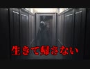 【ホラゲ実況】この屋敷で一人になってはいけない…【Alone Again - Eleanor】
