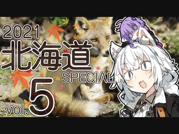 バイク乗りゆかりん！ 2021北海道SPECIAL #5（阿寒湖～層雲峡）