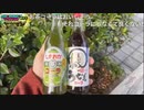 東京駅→博多駅を歩くセーブポイント旅#27（11日目 掛川駅～）