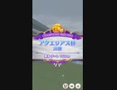 【ウマ娘】アクエリアス杯 2023(2年目) グレードリーグ 決勝A［2023/02/22］