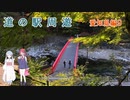 【COEIROINK車載】愛知県道の駅周遊⑨香嵐渓～どんぐりの里いなぶ【原付２種】