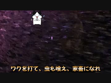 ワクの次は食糧そして脳チップ！どんどん包囲網が...己の直感でこの危機を察知せよ！