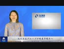 北大方正グループが破産手続きへ