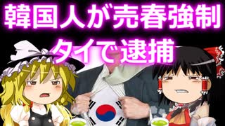 ゆっくり雑談 577回目(2023/2/24) 1989年6月4日は天安門事件の日 済州島四・三事件 保導連盟事件 ライダイハン コピノ コレコレア