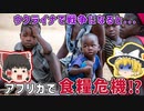 ウクライナ戦争がアフリカに与えた影響【ゆっくり解説】
