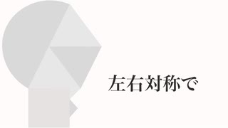 彼の顔面はとても左右対称でした　feat.冥鳴ひまり