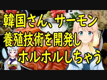 【韓国の反応】韓国がサーモンの養殖技術を自主開発し、サーモンが安くなると期待してしまう。【世界の〇〇にゅーす】