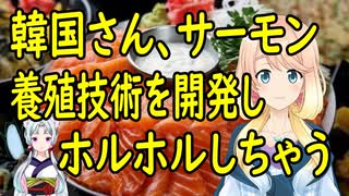 【韓国の反応】韓国がサーモンの養殖技術を自主開発し、サーモンが安くなると期待してしまう。【世界の〇〇にゅーす】