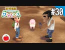 【実況】牧場物語 Welcome！ ワンダフルライフを遊ぶいも【#30】