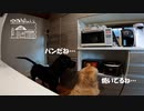 【第111回】トースター犬と氷？とカリンジャム