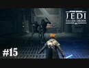 【STAR WARS JEDI : fallen order】敵同士で殴り合ってるの見る以上の娯楽はないね【実況】#15