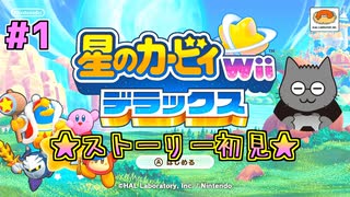 【星のカービィWiiデラックス】#1 あの頃できなかったカービィをプレイ！胸躍る冒険のはじまり！【初見プレイ】