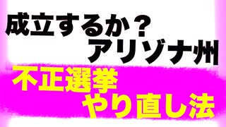 【アリゾナ】投票妨害が１%でもあったら選挙やり直し & 選管クビ法案【審議中】