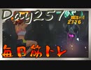【毎日投稿】ムキ・ムキ・ムキへの道！！！【RFA負荷23】#257