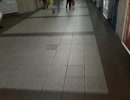 I was just wandering around trying to catch some interesting stuffs