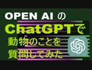 人工知能OPENAIのchatGPTで動物に関すること、動物医療に関することなどを質問してみました。
