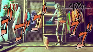 【初見】服屋の横暴な店員とクレメンチン【Stray】#10