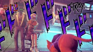 【初見】瞑暗号と裏切りとナイトクラブ□【Stray】#12
