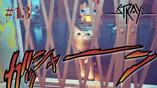 【初見】相互扶助と野望とプリズンブレイク【Stray】#13
