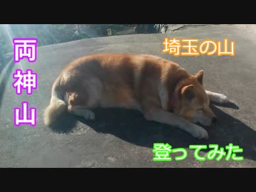 のんびり養生紀行１７話　両神山を登ってみた。