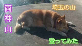 のんびり養生紀行１７話　両神山を登ってみた。