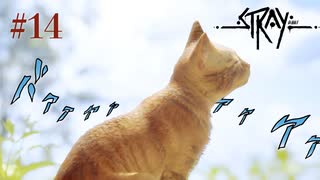 【最終回】ゴミと緑と青い空【Stray】#14