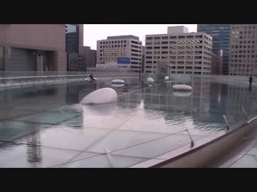 【レポ番外】オアシス21を散策してみた (2014年版)【サブ垢MAD動画使用記念復活うp】
